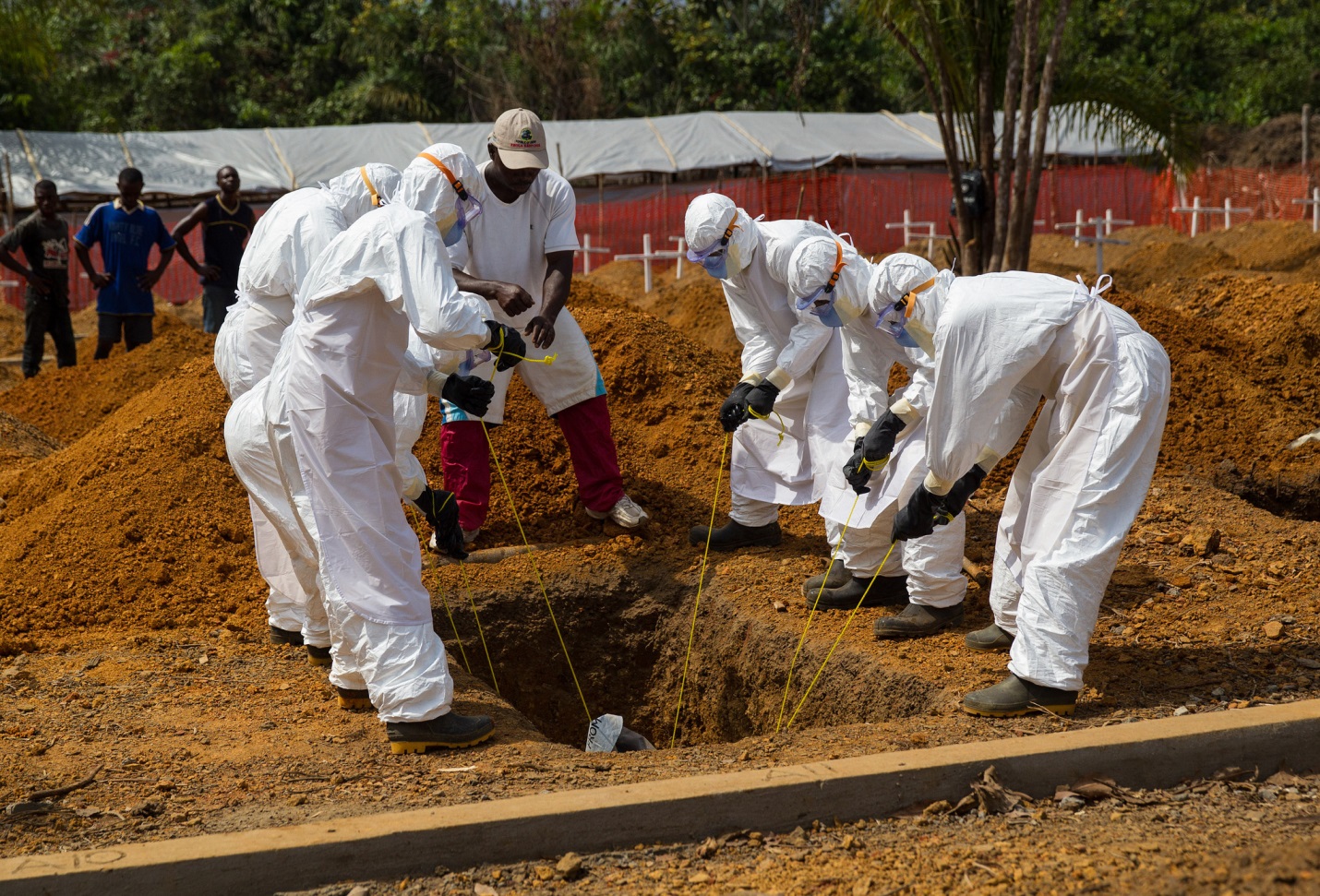 ebola